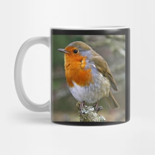 Red Red Robin Mug